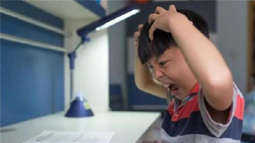 南瓜|大脑最喜欢的食物排行榜，核桃只排到第四，常吃的下酒菜排第一