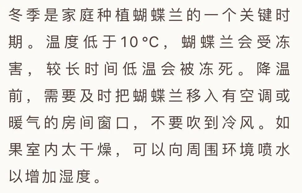 蝴蝶兰在家里怎么养？这些问题的解答来了！