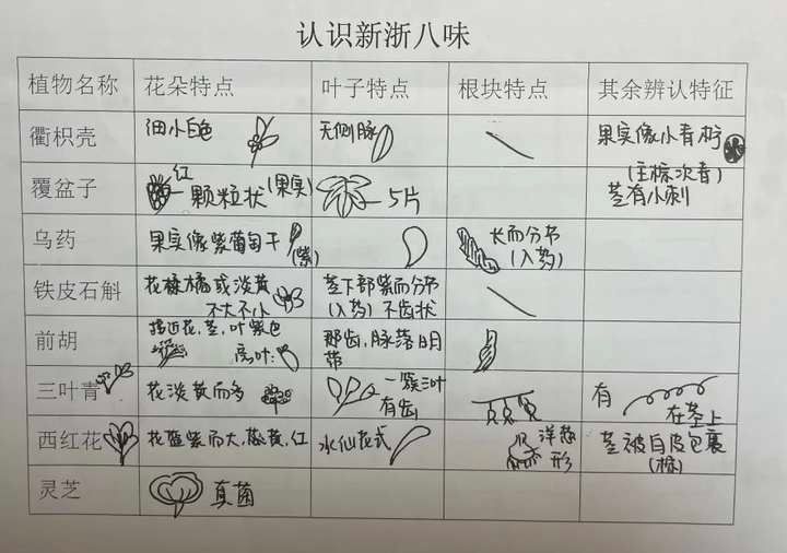 学校|泡杭白菊、采温郁金…杭州这所学校有一座“草药园”