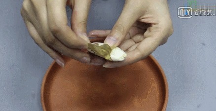 在垃圾桶里装满泥土,摆在阳台上有妙用,一年能帮你省下不少钱