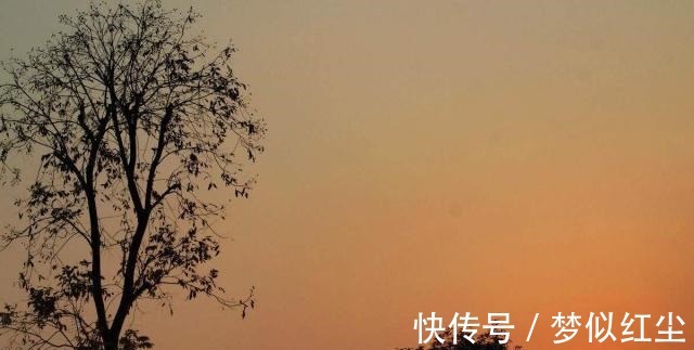 秋夜独坐$不输王维和白居易!不知名诗人的冠绝古今之作,其中10字千古名句!