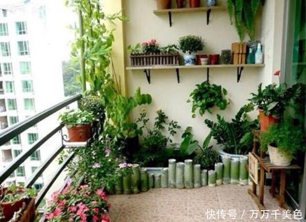 错误方法|冬天浇水4种“错误方法”,好多人不相信,最后浇1盆烂1盆!