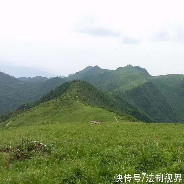 柞水|初夏时节，来柞水感受葱葱绿意~