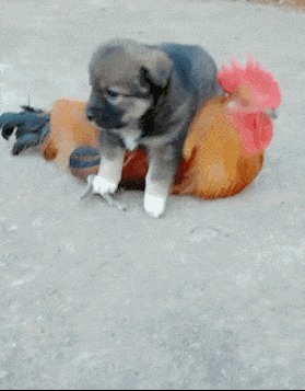 |搞笑GIF趣图:女朋友太爱玩,好想装作不认识她!