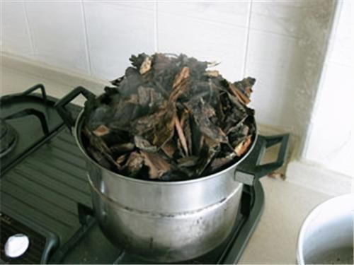 冬天养虎皮兰,土里埋点“生长素”,一到春天爆新芽