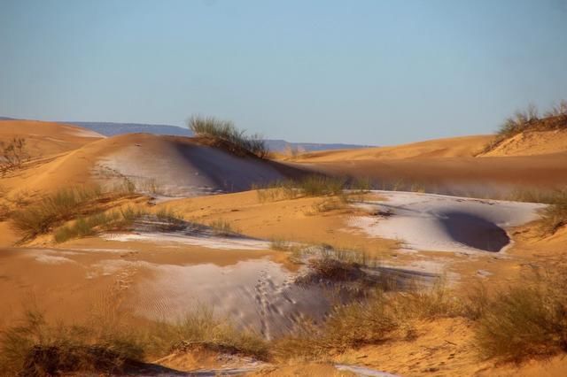 撒哈拉沙漠|撒哈拉沙漠罕见下雪“沙海”变“雪海”美到窒息