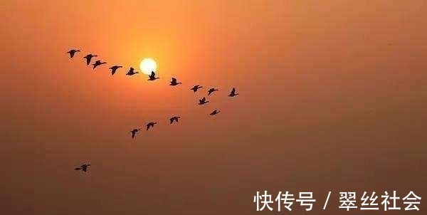 上联@千古绝对! 上联 “花有重开日”, 下联太经典了!