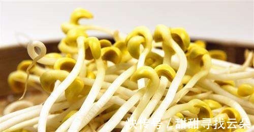 小白|想吃豆芽不用买,教你自己在家做,做法简单,随吃随取特方便!