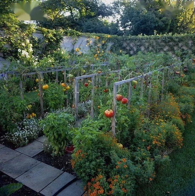 一屋两人三餐四季，就想和你过这样的小日子