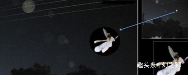 夏娃|传说中的“精灵”真的存在或许是世间罕有的一种生物