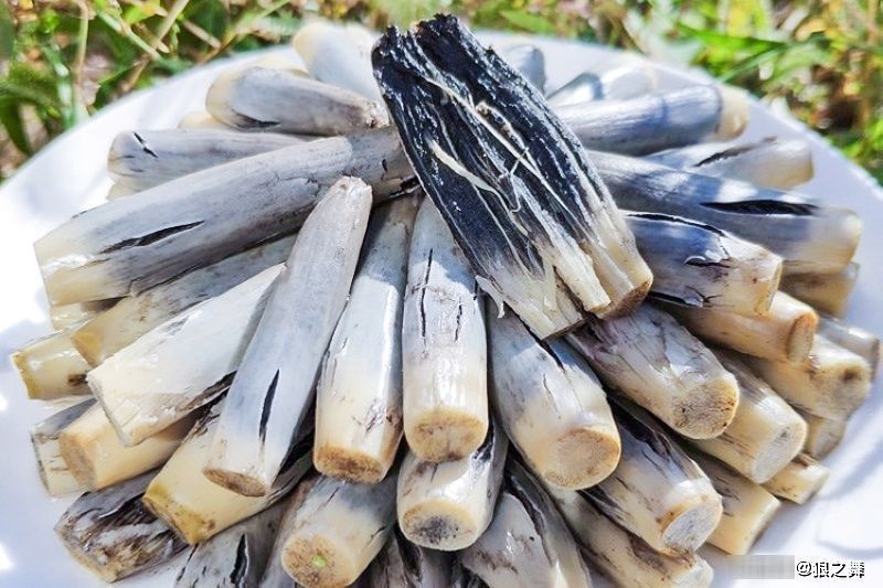 高粱上|这东西,农民痛恨不已,殊不知是“天然黑松露”,50元一斤