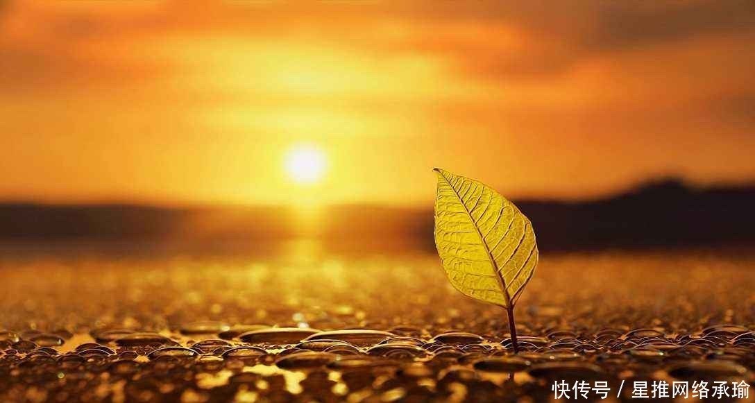 竹杖芒鞋轻胜马|心理学：做到这几点，人生怎么可能会过不好？