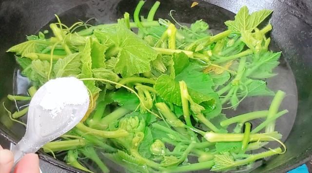 城里人|立秋以后，这菜要抓紧吃，营养极高，一煮一拌，给肉不换，真好吃