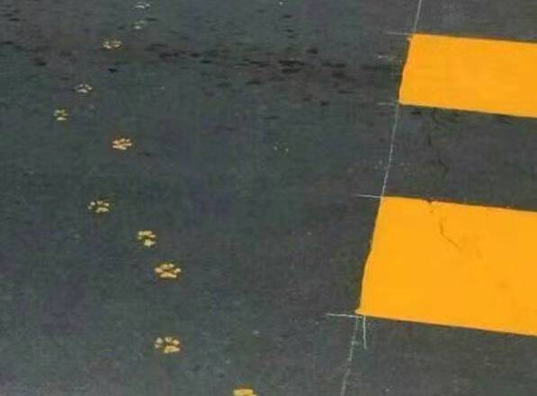 |搞笑图片幽默段子笑话妹子你力气还挺大的啊,推得动汽车呢