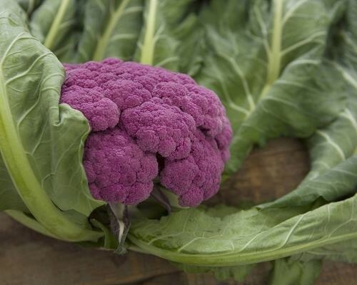 食物|女性想要身体好,不妨多吃四种食物,排毒养颜、增强体质