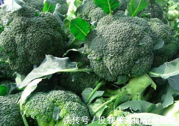 西兰花|每天坚持吃一盘西兰花,身体悄悄发生了大变化,大家早知道早好