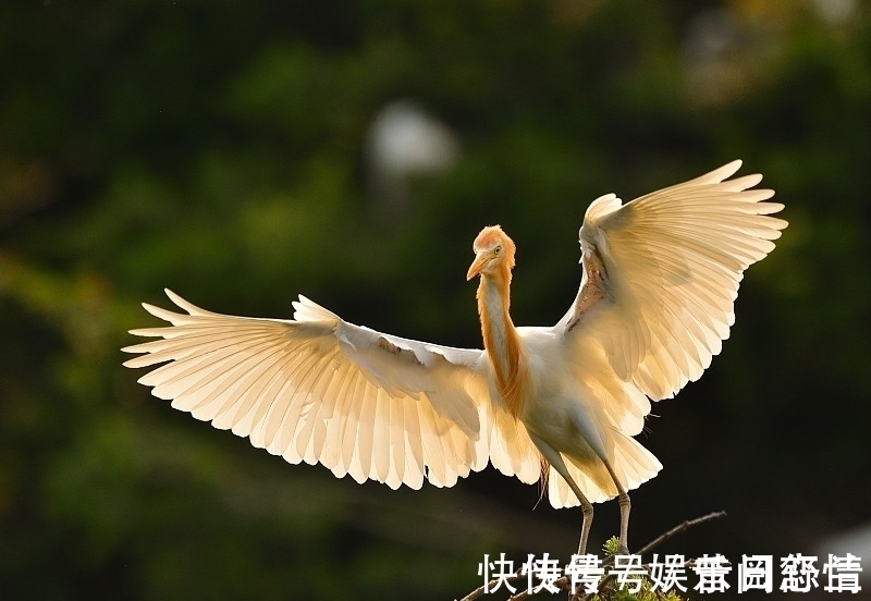 杨建军$绕头诗35首:奇思妙句,感悟世间百态,若有同感,不妨也来一句