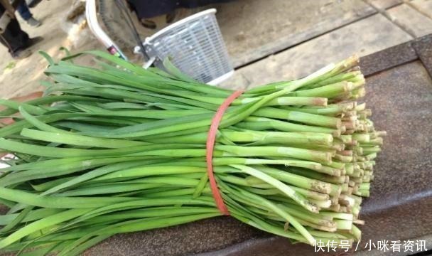 韭菜|吃不完的韭菜,放冰箱就错了,菜农教我土方法,放10天照样新鲜
