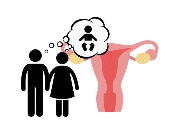 精子|如何抓住排卵期,增加“造人”成功率?医生:送你4个实用小方法