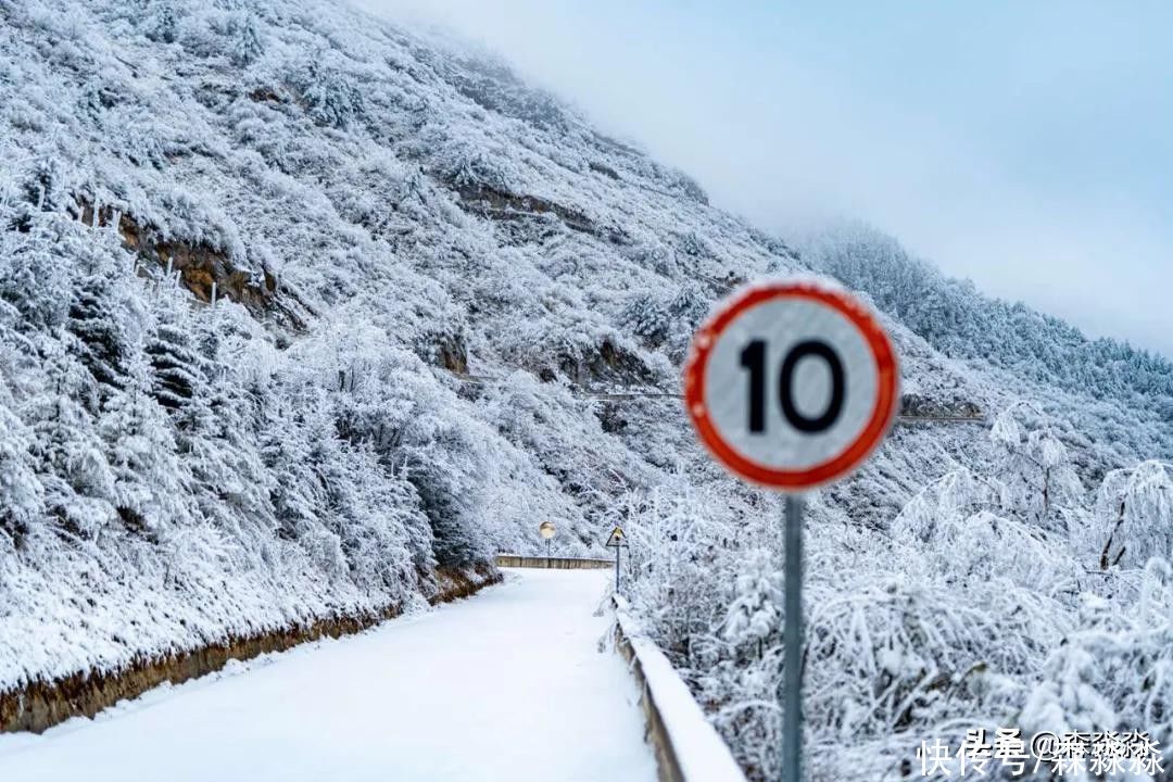 山下|十里风雪天涯路，秦岭雪乡留下吧，紫柏山下是我家