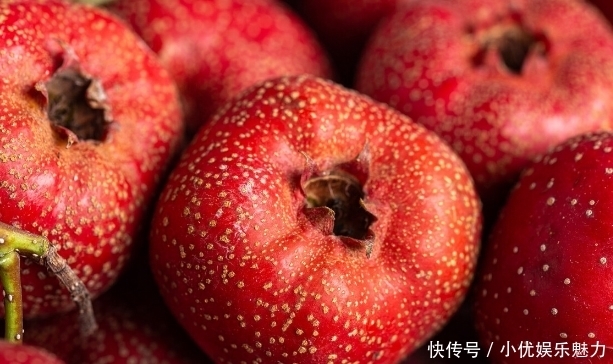 覆盆子|医圣张仲景调理气血的千古经方!六味药,改善气血不足