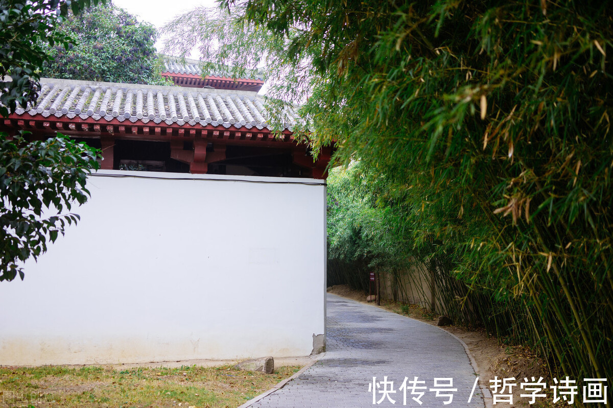 精神上@14个道家哲理语录,读懂做到,开启智慧人生