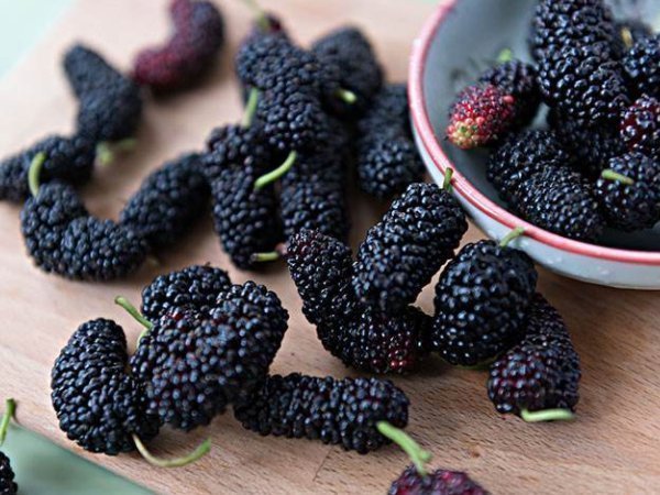 椰子油|医生以下4种食物是老年痴呆克星，只要吃对一个，痴呆晚来10年