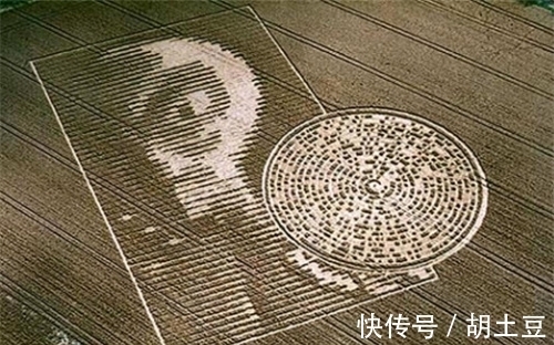 麦田怪圈到底啥来头 科学家 24小时不间断监测 拍下神秘一幕 全网搜