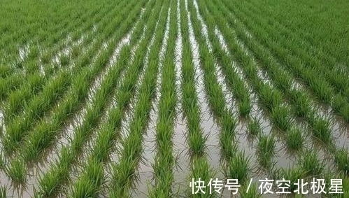 水乡@查慎行的一首七律,娓娓道来,历历如绘,不愧为清代的大才子