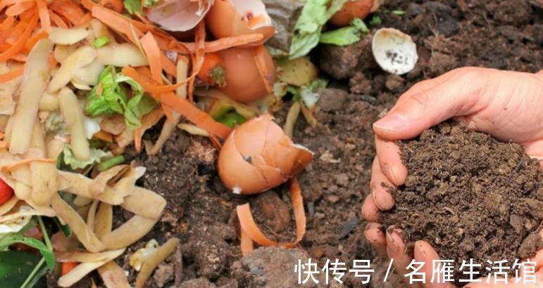 成本|家庭养花,该从哪些途径下手“压缩成本”?