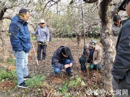 祭祀坑|河南殷墟王陵区新发现460多座祭祀坑