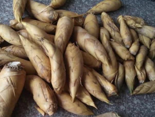 “天然叶酸”被找到了,每天吃两口,通乳散结