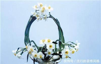 种球|水仙种球雕刻几刀,开出极品水仙花,惊爆眼球