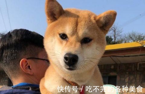 曝光|《向往的生活3》开录,新蘑菇屋曝光!