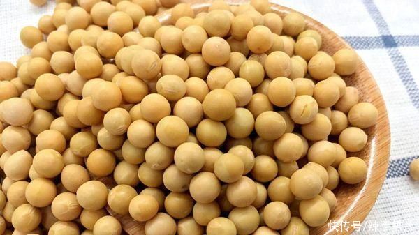  成功|《塔木德》陷阱:“黄豆思维”4大陷阱，识破1条你靠近成功1步