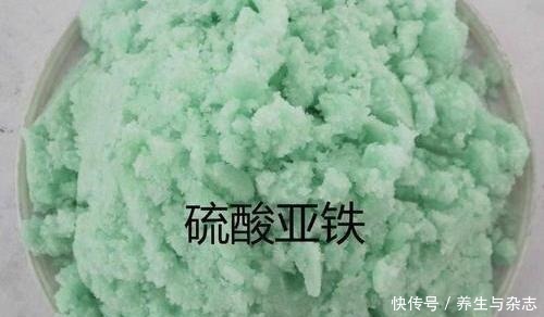 面包|养花土“硬邦邦”别担心,学会这“4招”,土壤松软像“面包”!