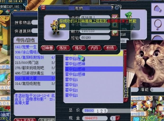 玩家|梦幻西游：玩转十车吸附石上篇，有心栽花花不开，无心插柳柳成荫
