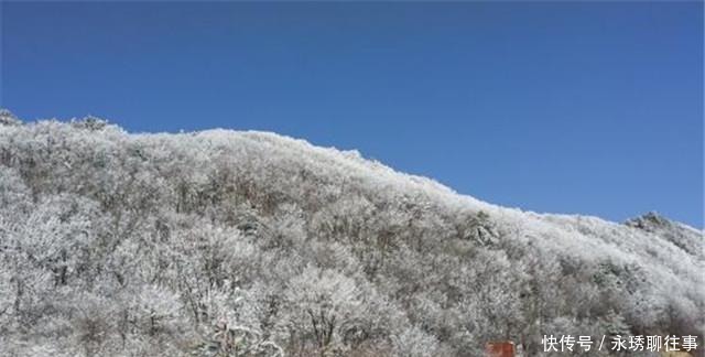 工作|终南山隐士：万人上山背后是逃避工作，一场雪就原形毕露