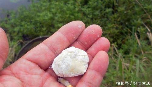 钓鱼|钓鱼技巧：多种面粉饵料配方，小鱼不沾，大鱼咬钩猛，野钓必备
