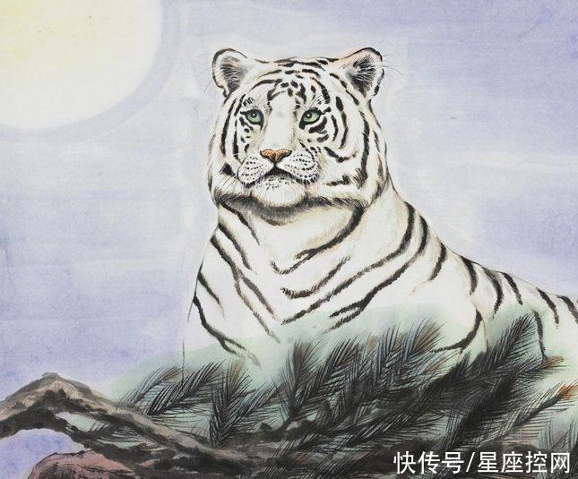 人性格|下半年不再瞎操心,前有贵人,后有明路,赚钱效率大增的生肖