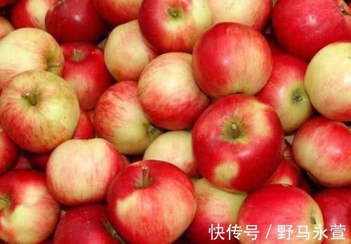 高血压患者|高血压的“克星”出现了,每天坚持吃一点,血压“稳稳当当”胜吃药