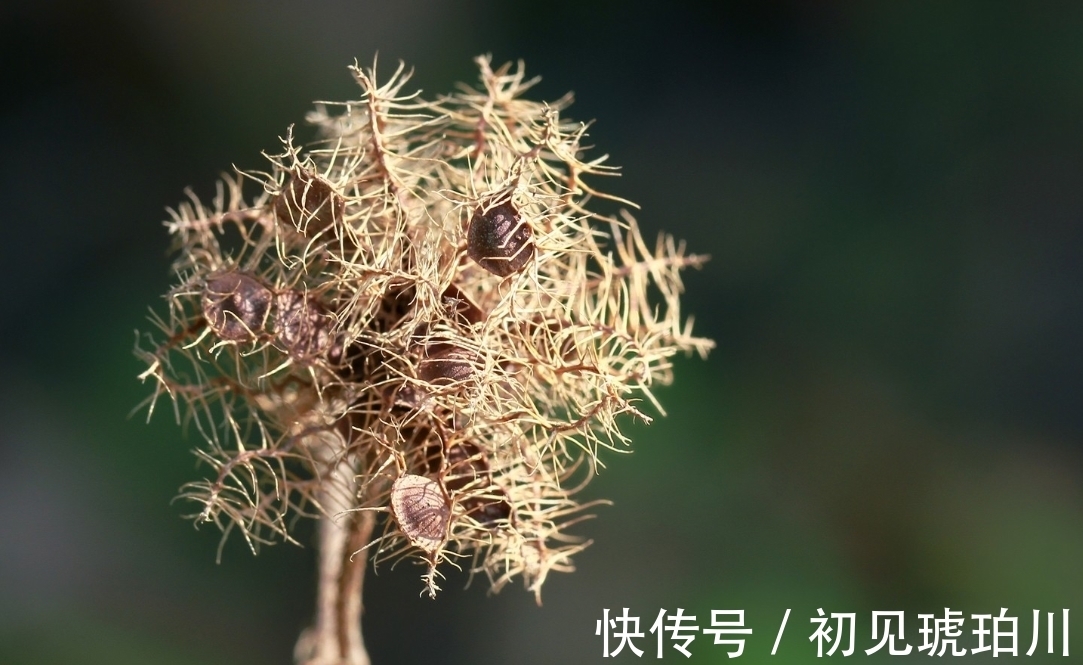 辜负|7月中旬,想得少,爱得多,3生肖洗尽铅华,唯爱最真,绝不辜负