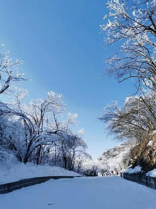 陕西省汉中龙头山赏雪之旅，游记感受！