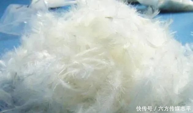 旧羽绒服扔了太可惜,改造一床羽绒被真暖和,省下2000块!