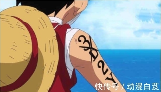 乌索普|海贼王草帽团之痛,她的离世,为路飞铺平了前往新世界的道路