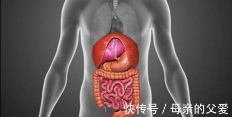 肝脏|肝脏不好的人，身体或有这6个表现，不妨自测一下