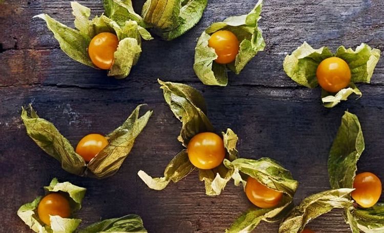 每天堅持吃3種食物，營養豐富、延緩衰老，好吃又不貴！