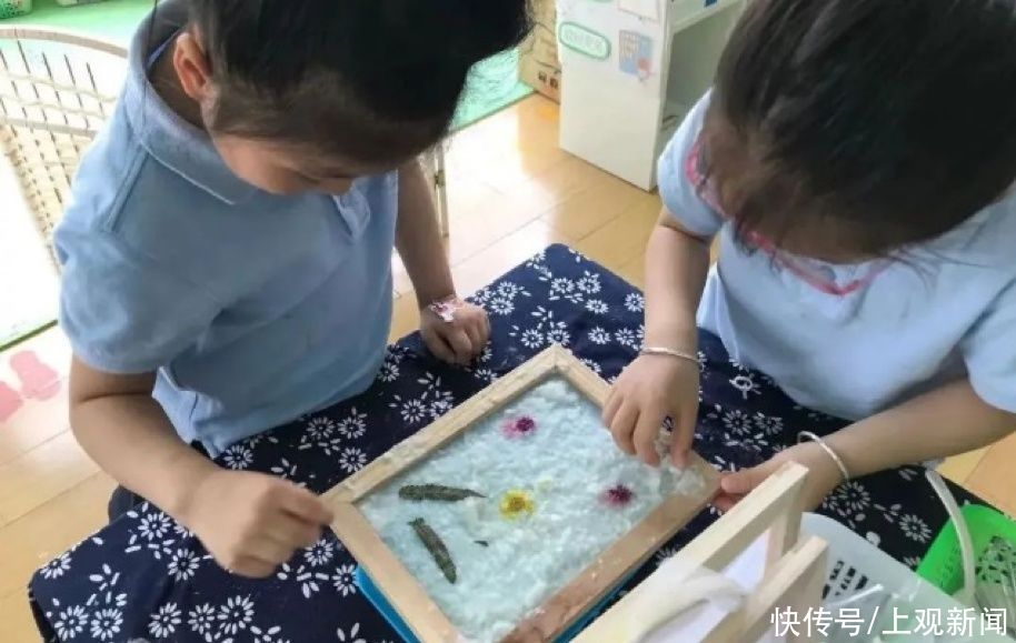 后花园|“课堂+社会+自然”赋能幼儿，宝山区的这所幼儿园有妙招