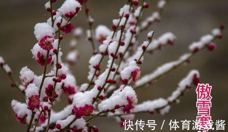 刘禹锡$试玉要烧三日满:十二首经典哲理诗,教会我们正确地为人处世