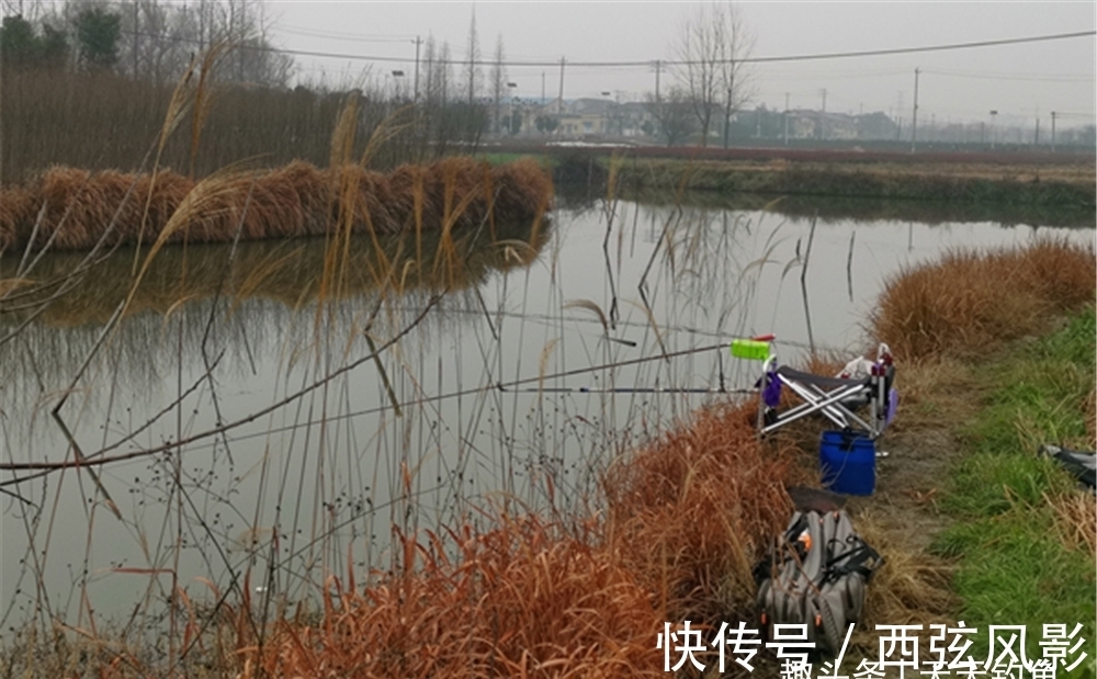 冬钓|冬钓10字要诀,冬季低温变数少,按照这些路数来,爆护其实很容易